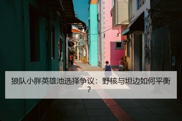 狼队小胖英雄池选择争议：野核与坦边如何平衡？