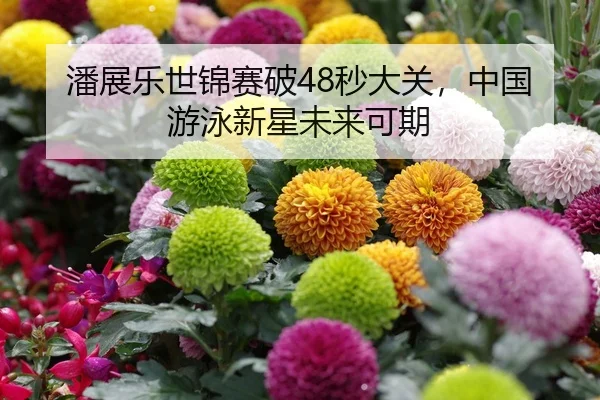 潘展乐世锦赛破48秒大关，中国游泳新星未来可期