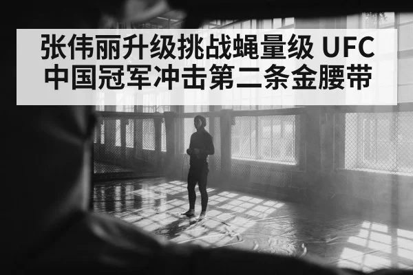 张伟丽升级挑战蝇量级 UFC中国冠军冲击第二条金腰带